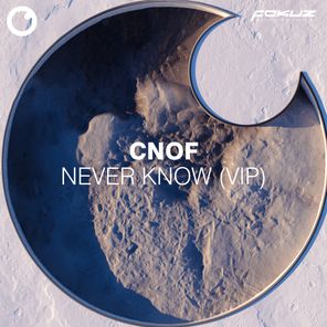 Never Know (VIP)