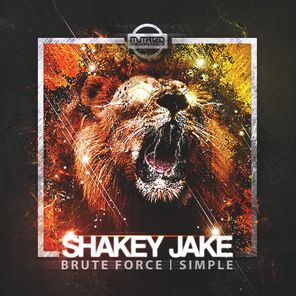 Brute Force/Simple