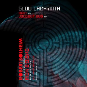 Slow Labyrinth