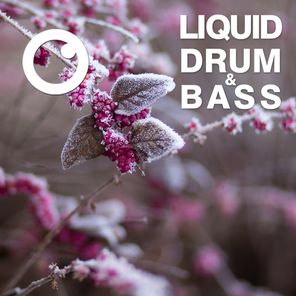 Liquid Drum & Bass Sessions 2020 Vol 11 : The Mix