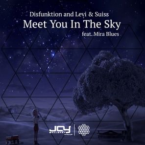 Meet You in the Sky feat. Mira Blues