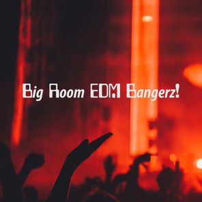 Big Room EDM Bangerz!