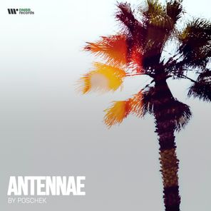 Anteannae EP