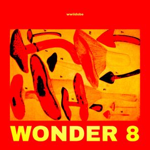 Wonder 8