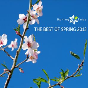 The Best of Spring 2013