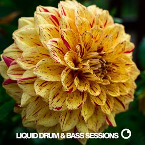 Liquid Drum & Bass Sessions Vol 11