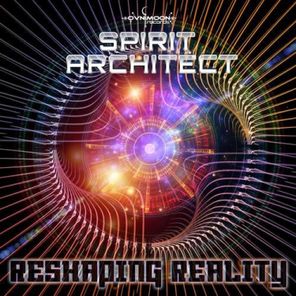 Reshaping Reality - Single