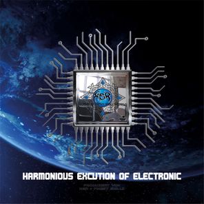 Harmonious Execution Of Elektronik