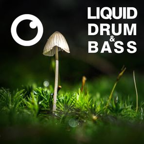 Liquid Drum & Bass Sessions 2020 Vol 30 : The Mix