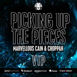 Picking Up The-Peices (VIP)