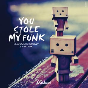 You Stole My Funk (Incl. Renato Xtrova & DJ Satelite Remixes)