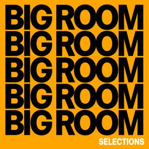 Big Room Selections, Vol. 1 - Compiled and Selected by Sneja