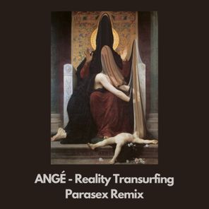 Reality Transurfing (Parasex Remix)