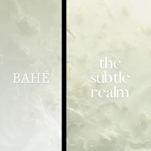 The Subtle Realm