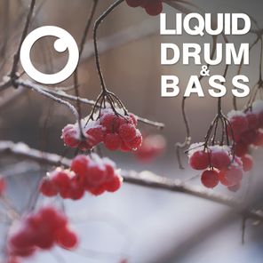 Liquid Drum & Bass Sessions 2020 Vol 17 : The Mix