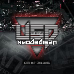 Upsidedown (LP Sampler 2)