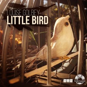 Little Bird