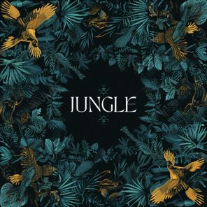 Jungle