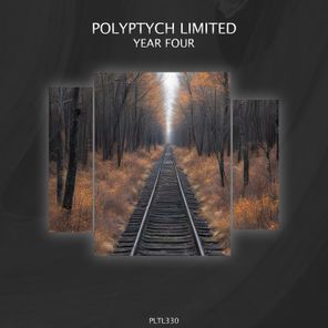 Polyptych Limited: Year Four