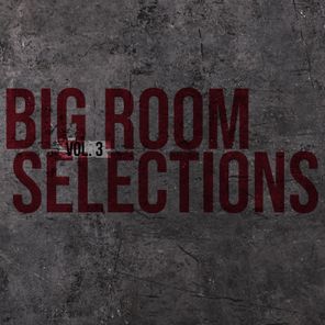 Big Room Selections, Vol. 3 - Compiled and Selected by Sneja (2024 Remaster)