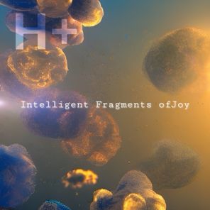 Intelligent Fragments of Joy