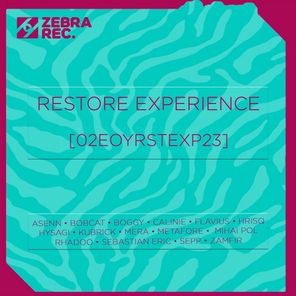 Restore Experience [02EOYRSTEXP23]