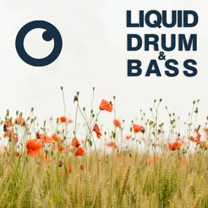 Liquid Drum & Bass Sessions 2021 Vol 43 : The Mix