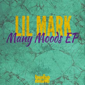 Many Moods EP Vol. 2