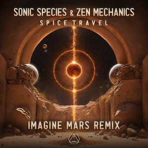 Spice Travel (Imagine Mars Remix)