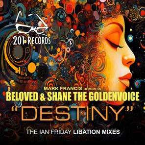 Destiny (Ian Friday Libation Mix)