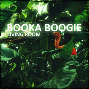 Booka Boogie