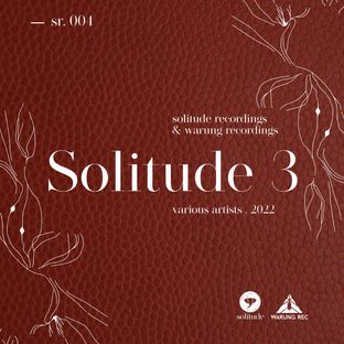 Artwork for "Solitude VA 3"
