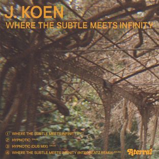 Artwork for "Where the Subtle Meets Infinity"