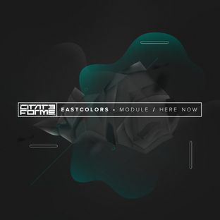 Artwork for "Module"