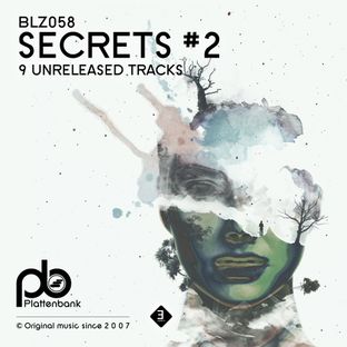 Artwork for "Secrets # 2"