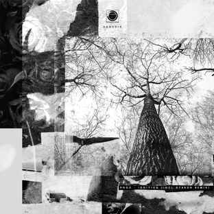 Artwork for "Ignition"