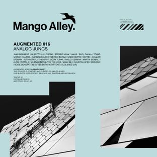 Artwork for "Augmented 016 / Analog Jungs"