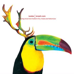 Artwork for "brazil.com"