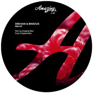 Artwork for "Wid Up"