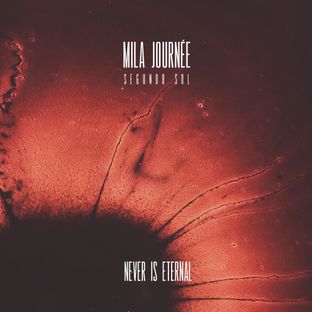 Artwork for "Segundo Sol"