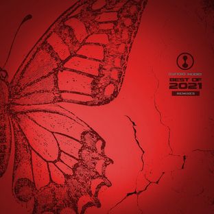 Artwork for "Best of Gynoid 2021 - Remixes"