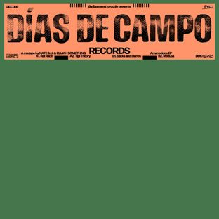 Artwork for "Amanecidos"