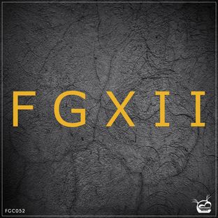 Artwork for "FGXII (12th Years Anniversary)"