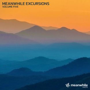 Artwork for "Meanwhile Excursions, Vol. 5"