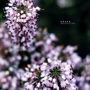 Artwork for "Unexpected"