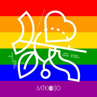 Artwork for "Homewrecker"