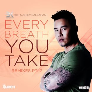 Artwork for "Every Breath You Take (The Remixes, Vol. 2)"