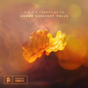 Artwork for "Amber Sunlight Falls"