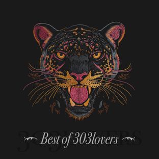 Artwork for "Best of 303Lovers"