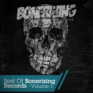 Artwork for "Best Of Bonerizing Records - Vol 1"